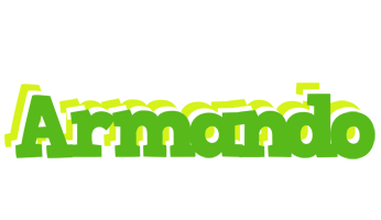 Armando picnic logo