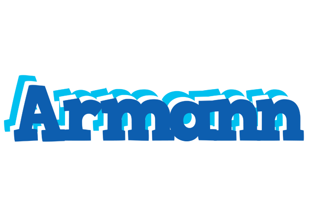 Armann business logo