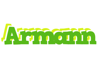 Armann picnic logo