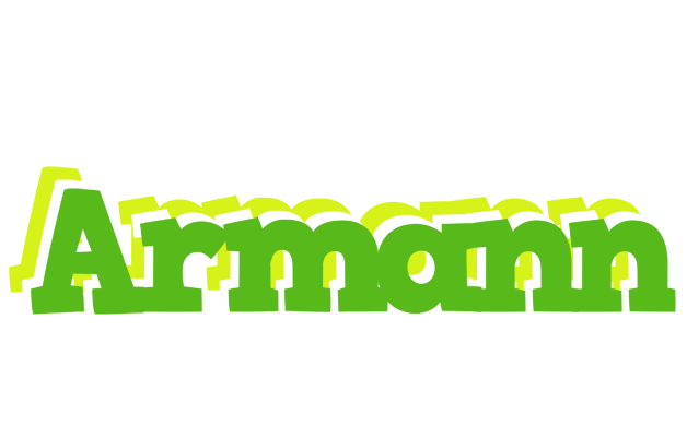 Armann picnic logo
