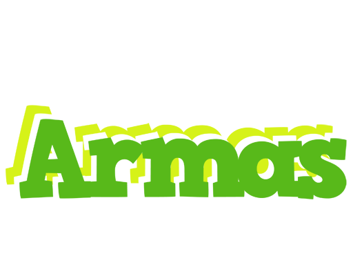 Armas picnic logo