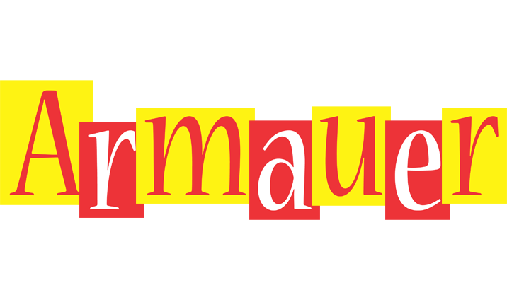 Armauer errors logo