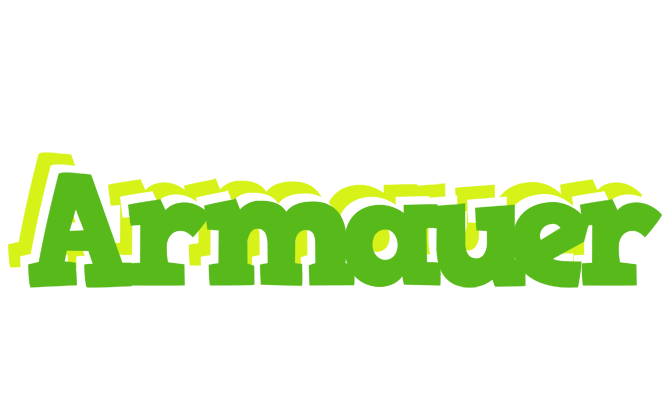 Armauer picnic logo