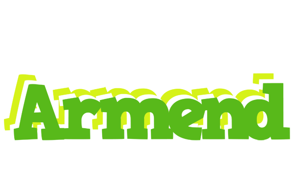 Armend picnic logo