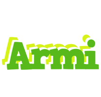 Armi picnic logo