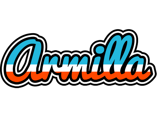 Armilla america logo