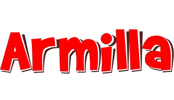 Armilla basket logo