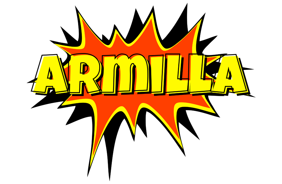 Armilla bazinga logo