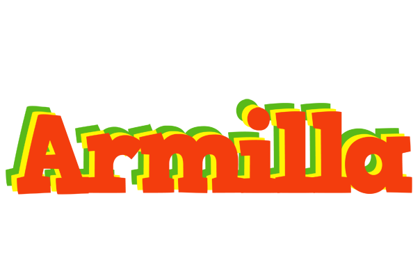 Armilla bbq logo