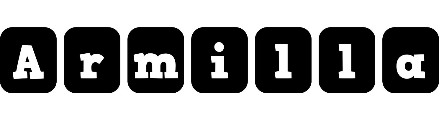 Armilla box logo