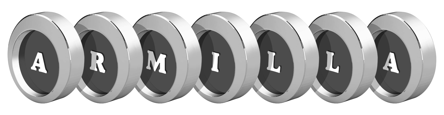 Armilla coins logo