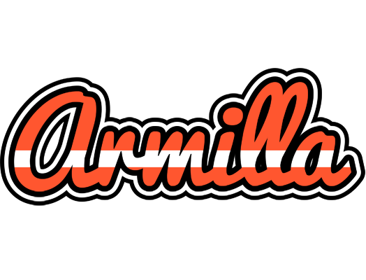 Armilla denmark logo