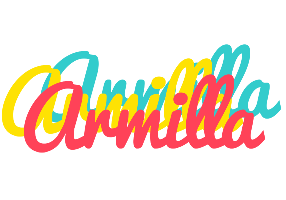 Armilla disco logo