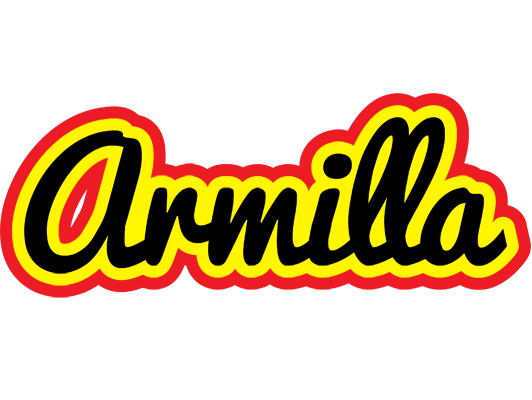 Armilla flaming logo