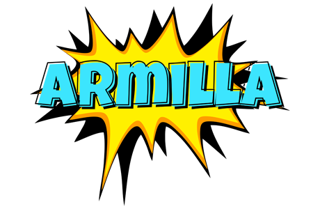 Armilla indycar logo