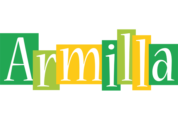 Armilla lemonade logo