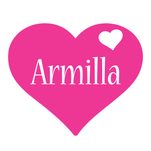 Armilla love-heart logo