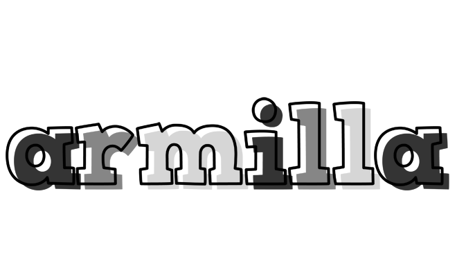 Armilla night logo