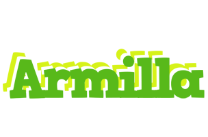 Armilla picnic logo