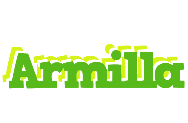 Armilla picnic logo