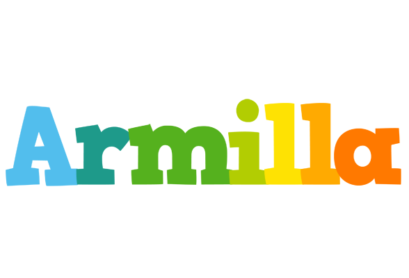 Armilla rainbows logo