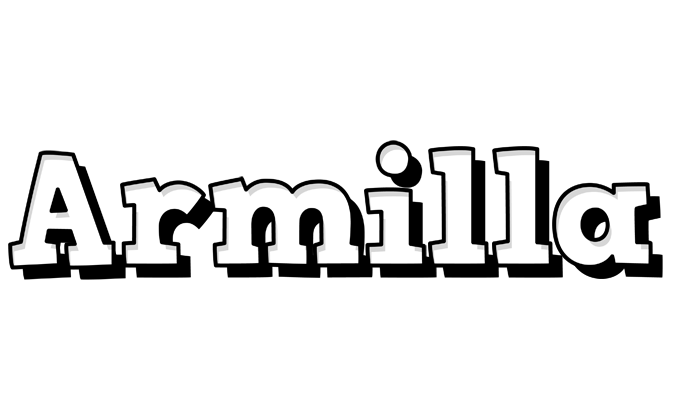Armilla snowing logo