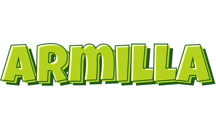 Armilla summer logo