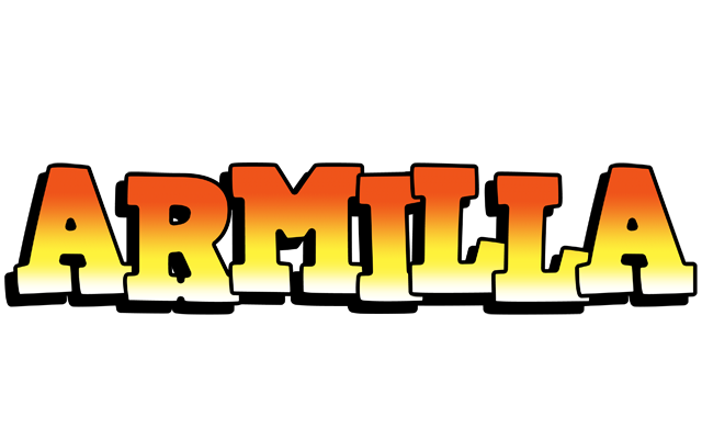 Armilla sunset logo