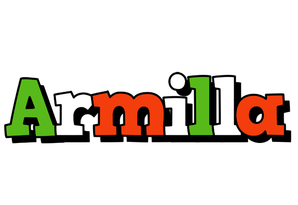Armilla venezia logo