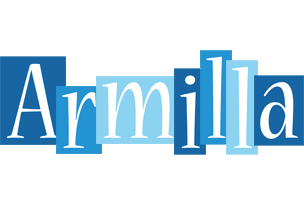 Armilla winter logo