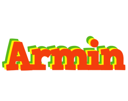 Armin bbq logo