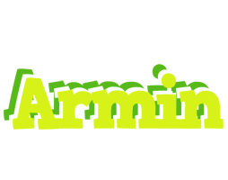 Armin citrus logo