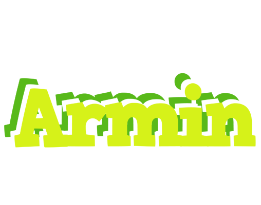 Armin citrus logo