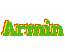 Armin crocodile logo