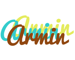 Armin cupcake logo