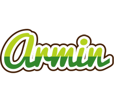 Armin golfing logo