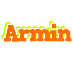 Armin healthy logo