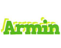 Armin picnic logo