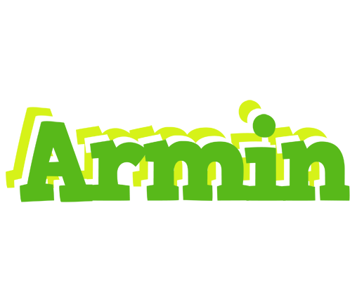 Armin picnic logo