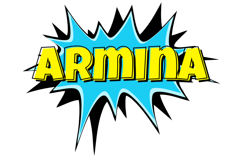 Armina amazing logo