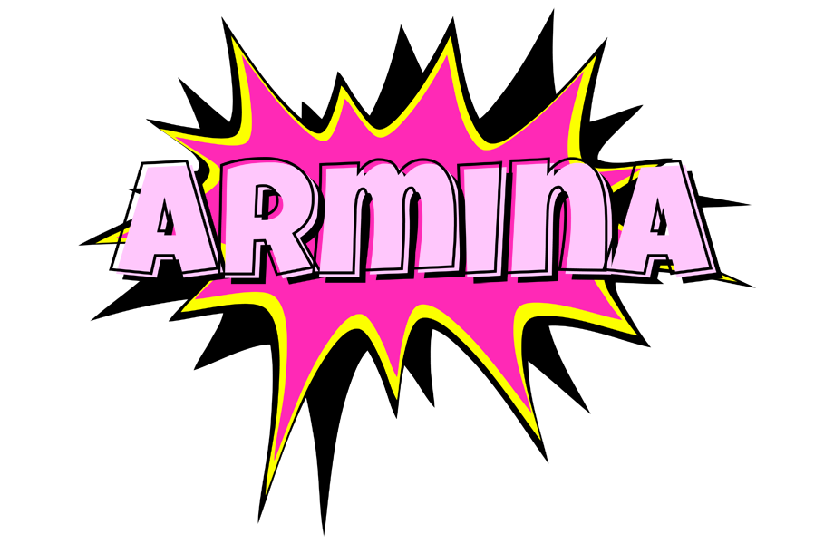 Armina badabing logo
