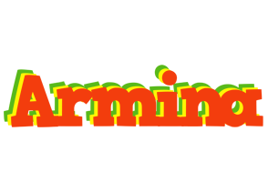 Armina bbq logo