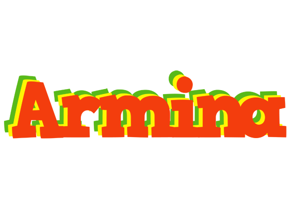 Armina bbq logo