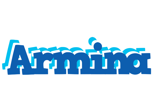 Armina business logo