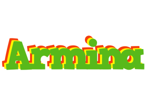 Armina crocodile logo