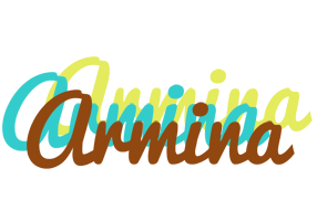 Armina cupcake logo