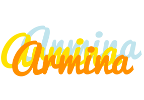 Armina energy logo