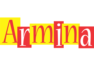 Armina errors logo