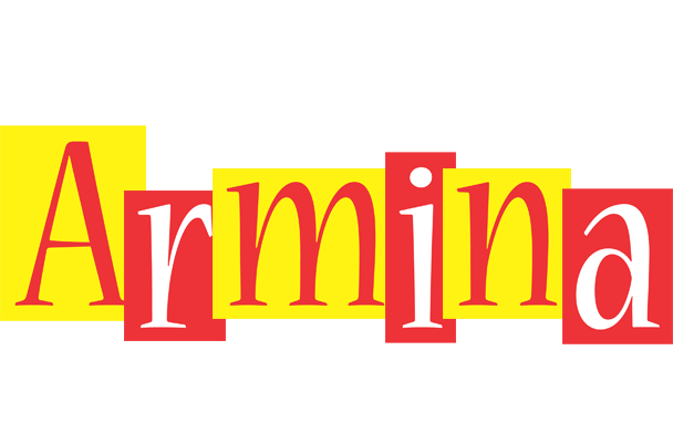 Armina errors logo