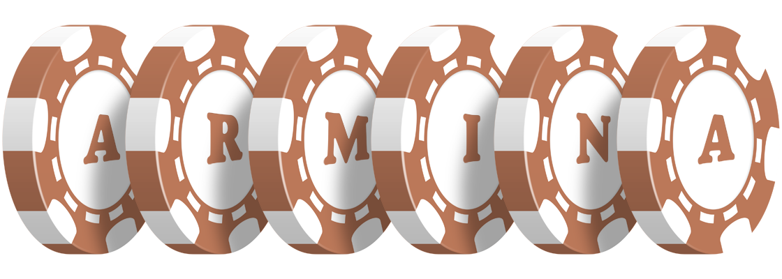 Armina limit logo